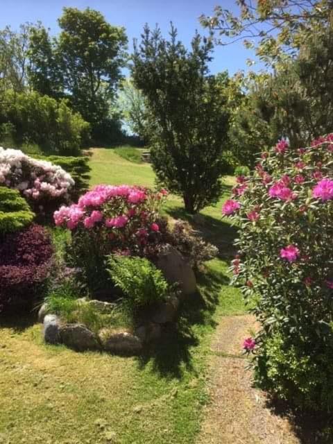 Bjergby Bed & Breakfast Bed and Breakfast Hjørring Exteriör bild